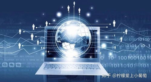 网络技术服务项目的双重维度评估 需求端与产品端的精准对接