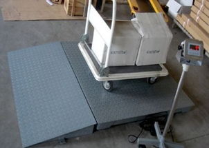 专业直供 1吨、2吨、3吨电子地磅与配套网络技术服务，一站式解决方案