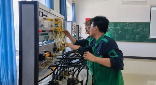 金川集团选矿厂 专业化塑造与技能强化，锻造过硬维保队伍